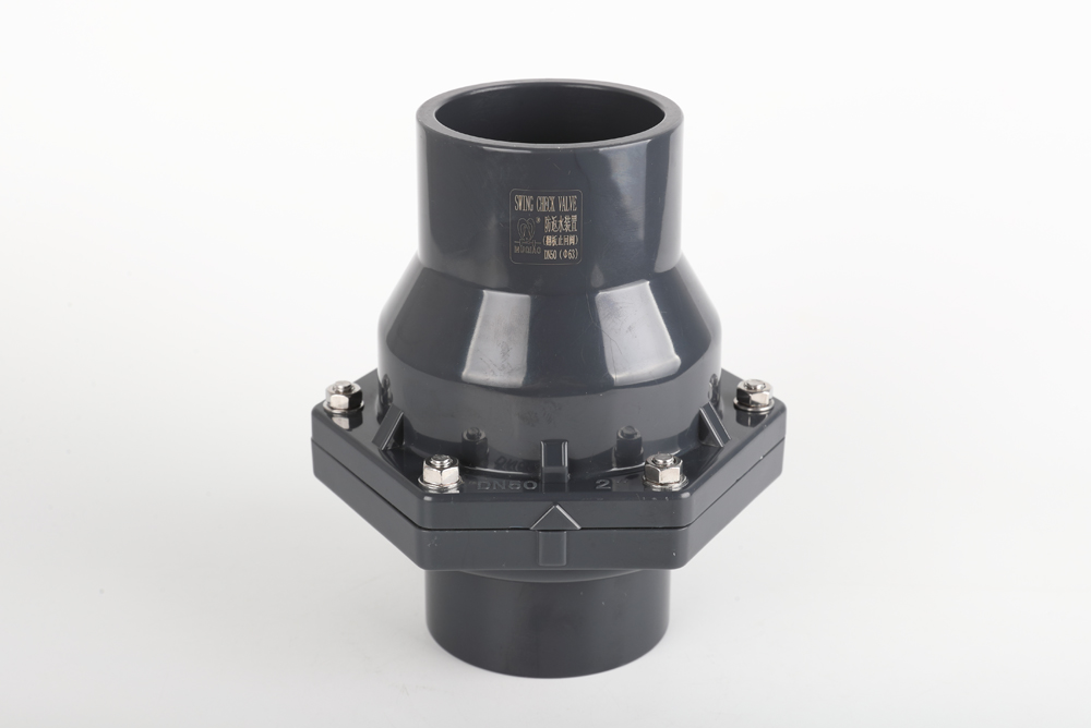 排湖风景区翻板式止回阀