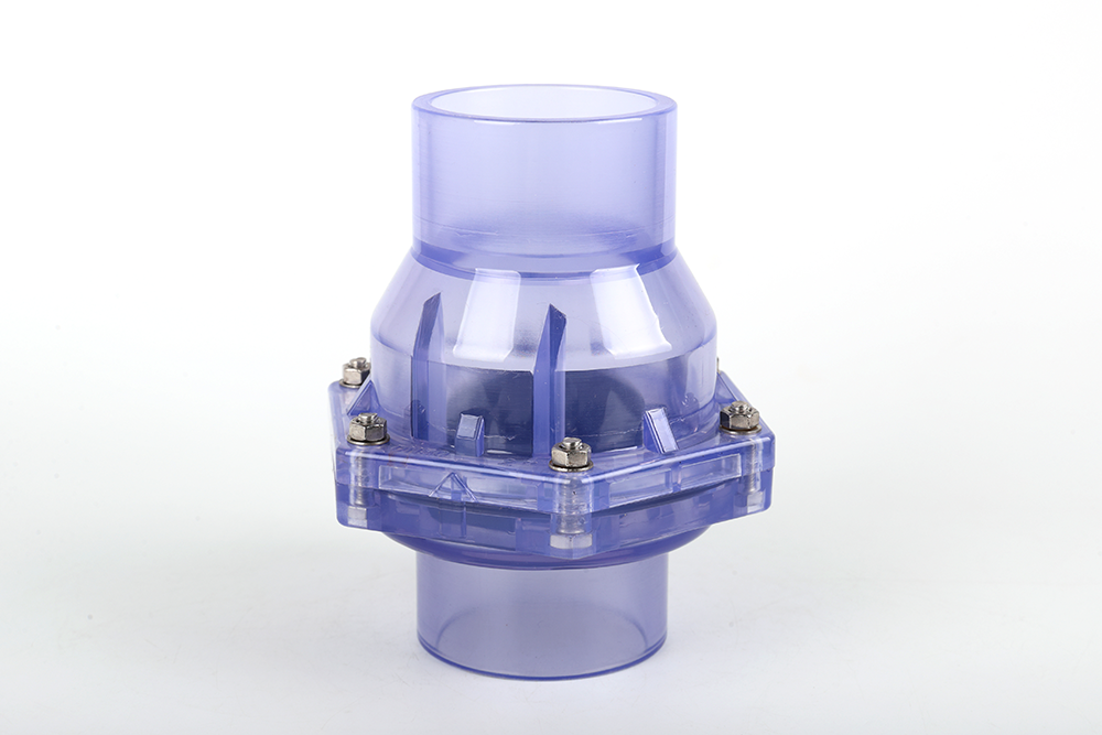 排湖风景区透明翻板式止回阀